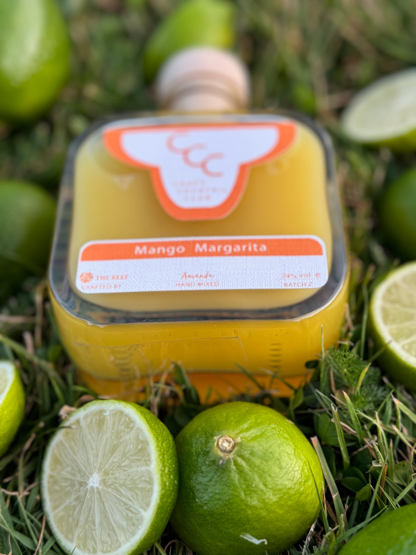 Picture of a mango margarita 