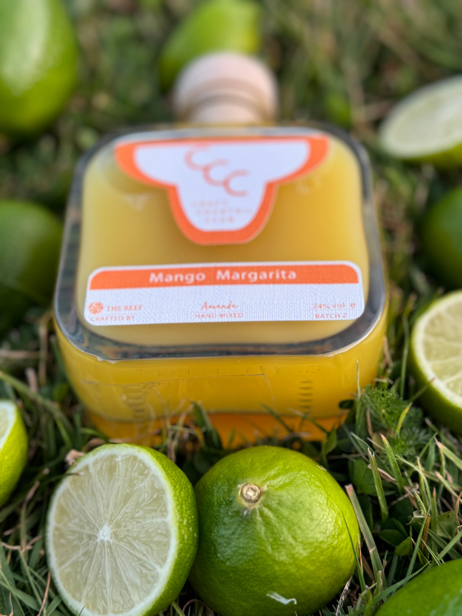 Picture of a mango margarita 